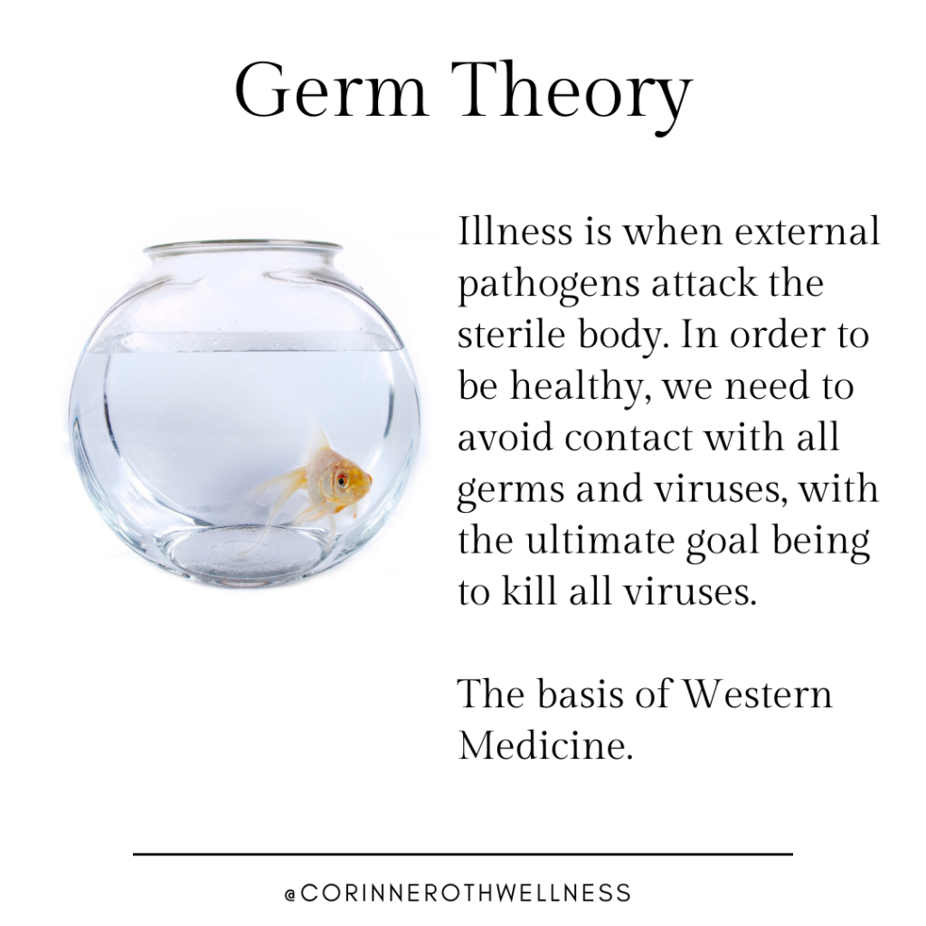 the germ theory 